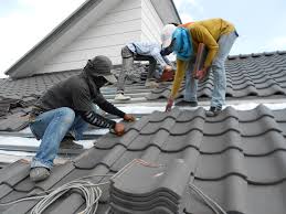 Sheet Metal Roofing in Walworth, WI